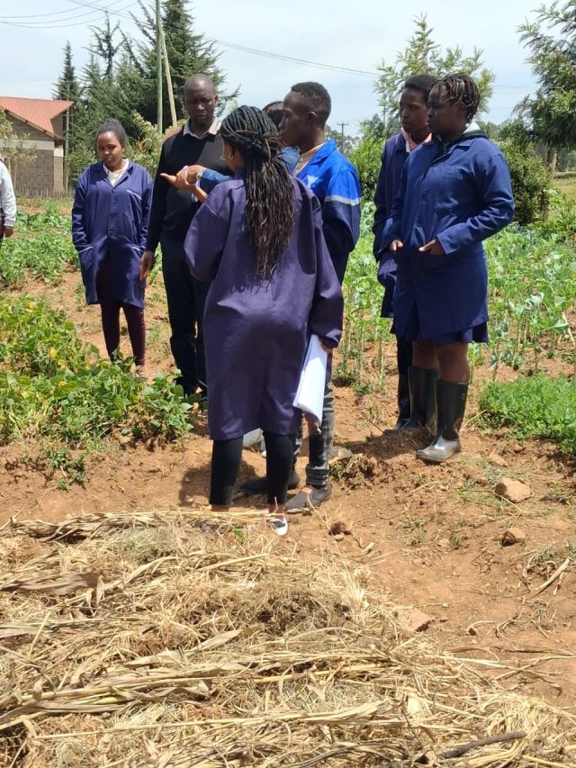 Students Showcasing Their Practical Skills