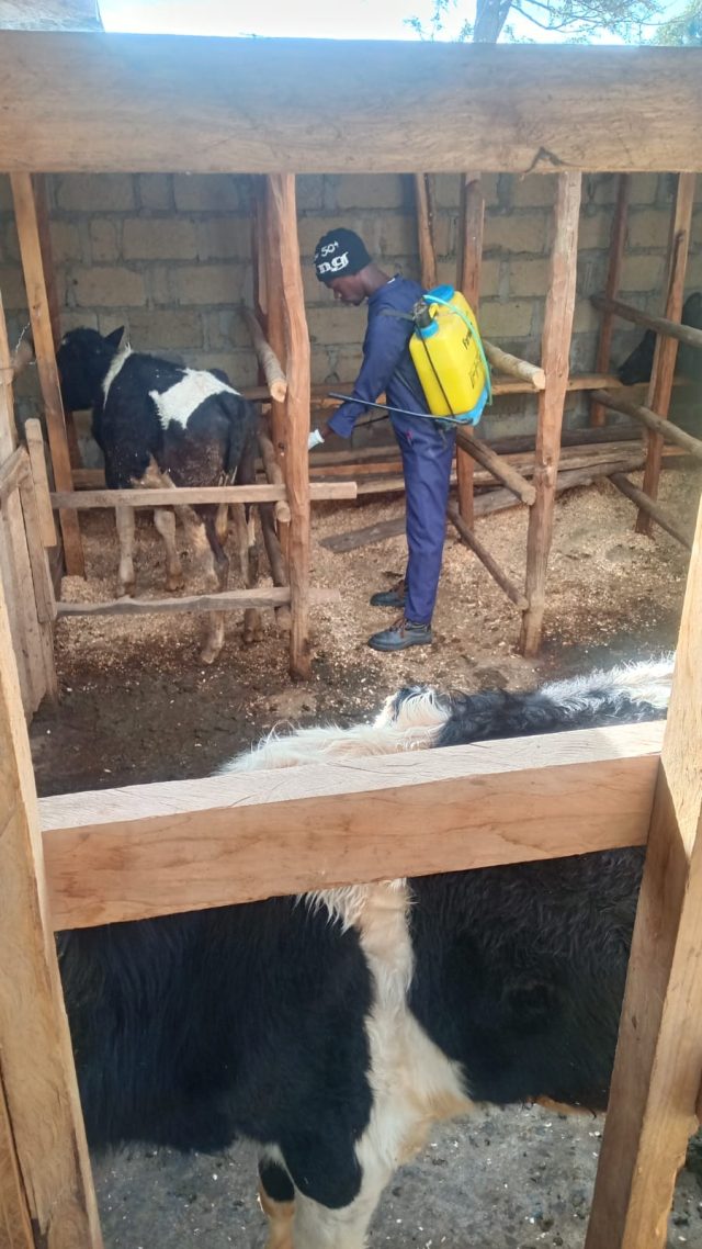Students Showcasing Their Practical Skills